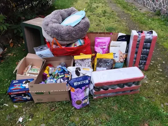 Uczniowie z Redy zebrali dary dla schroniska i kotów – akcja „Wielkie Serca”